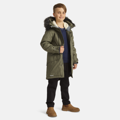 Zēnu ziemas parka DAVID