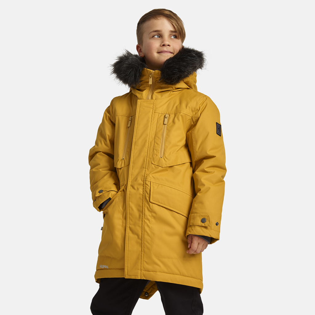 Zēnu ziemas parka DAVID